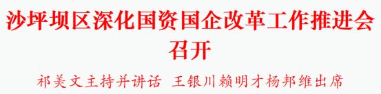 沙坪坝区深化国资国企改革工作推进会召开祁美文主持并讲话王银川赖明才杨邦维出席