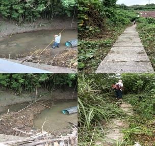 回龙坝镇：青龙庙村开展河道道路环境整治行动