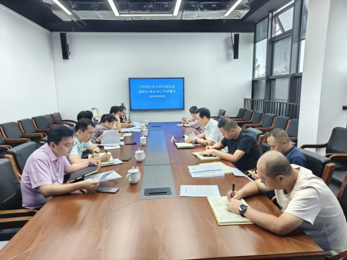 沙坪坝区召开消除劣V类水体工作部署会
