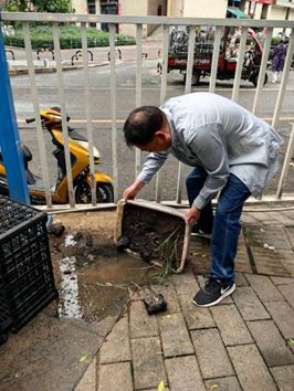 联芳街道联芳桥社区开展积水清理与蚊媒防控行动