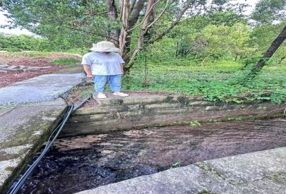 凤凰镇杨家庙村开展辖区河道环境巡查