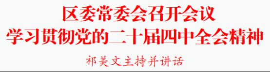 区委常委会召开会议学习贯彻党的二十届四中全会精神祁美文主持并讲话