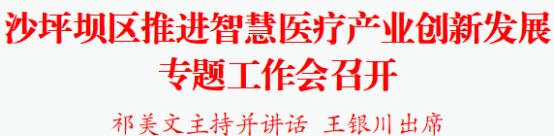 沙坪坝区推进智慧医疗产业创新发展专题工作会召开祁美文主持并讲话王银川出席