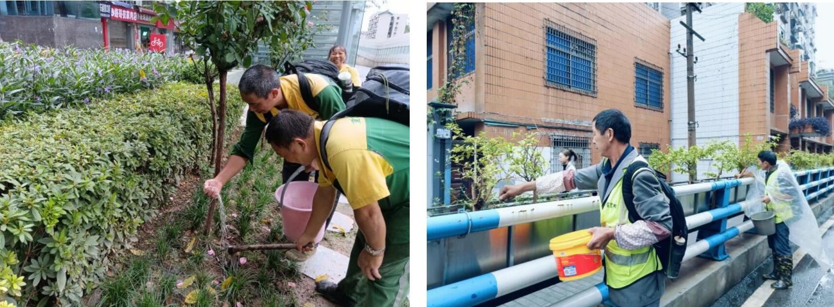 东部市街绿地秋季施肥