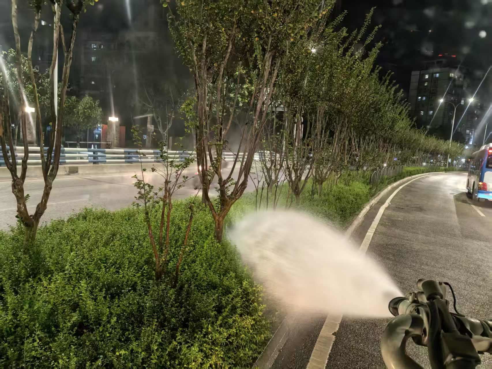 强化秋季浇灌养护绿植根基