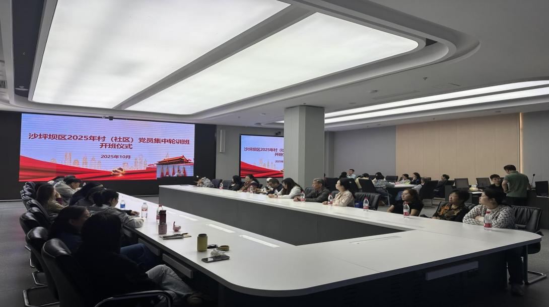 磁器口街道参加沙坪坝区2025年村（社区）党员集中轮训班
