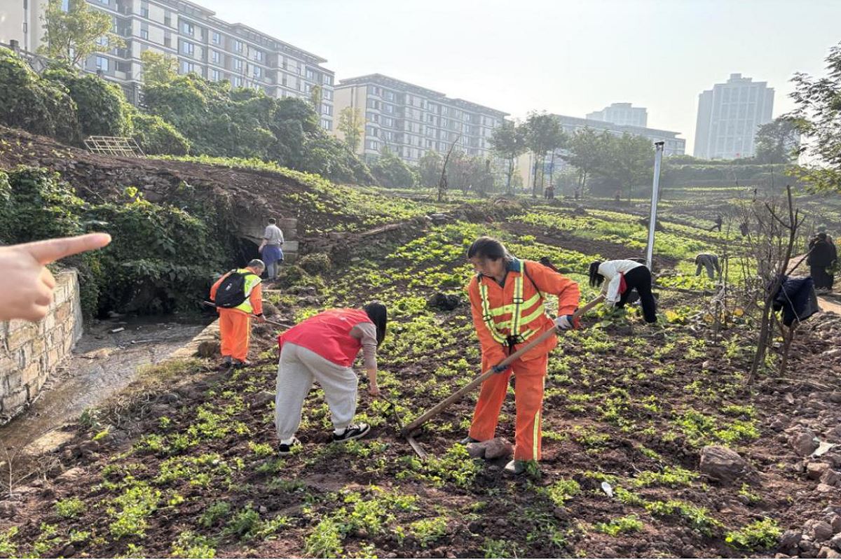 丰文街道开展河岸违规清理生态安全双提升行动