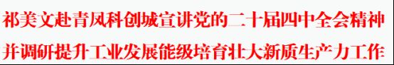 祁美文赴青凤科创城宣讲党的二十届四中全会精神并调研提升工业发展能级培育壮大新质生产力工作