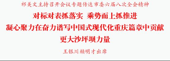 祁美文主持召开会议专题传达市委六届八次全会精神对标对表抓落实乘势而上抓推进凝心聚力在奋力谱写中国式现代化重庆篇章中贡献更大沙坪坝力量王银川赖明才出席