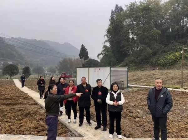 凤凰镇凤凰桥村对番茄基地及果蔬基地开展验收工作