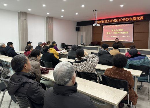 童家桥街道五灵观社区专题党课宣讲党的二十届四中全会精神