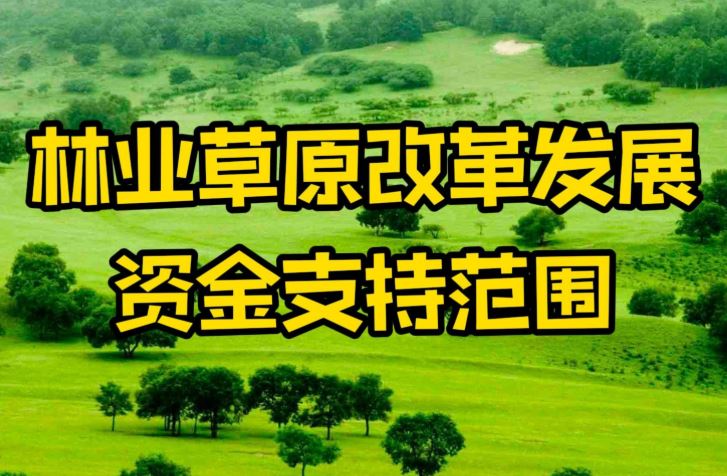 沙坪坝区财政局提前下达2026年中央林业草原改革发展资金