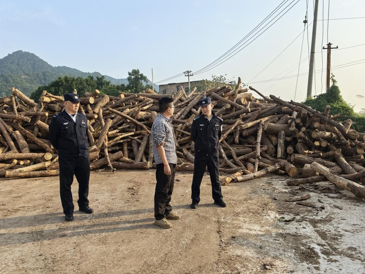 区公安分局|沙坪坝区公安分局开展涉松材线虫病疫木专项检查宣传工作