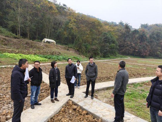 凤凰镇凤凰桥村两大农业基地通过竣工验收为乡村产业振兴注入新动能